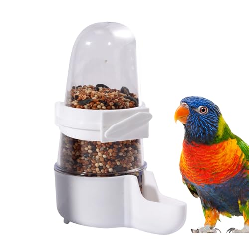 鳥専用自動給餌器（小粒用） plusnao 鳥用餌入れ 自動給水器 バードフィーダー 給餌器 置き型